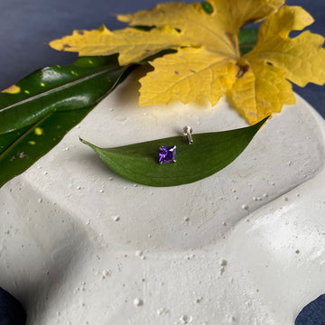 Big Purple Square Nose